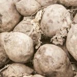 Kun tavallinen suola pelastaa punajuuret epämiellyttävältä kohtalolta: natrium makeuden avaimena kun-tavallinen-suola-pelastaa-punajuuret-epamiellyttavalta-kohtalolta-natrium-makeuden-avaimena.jpg